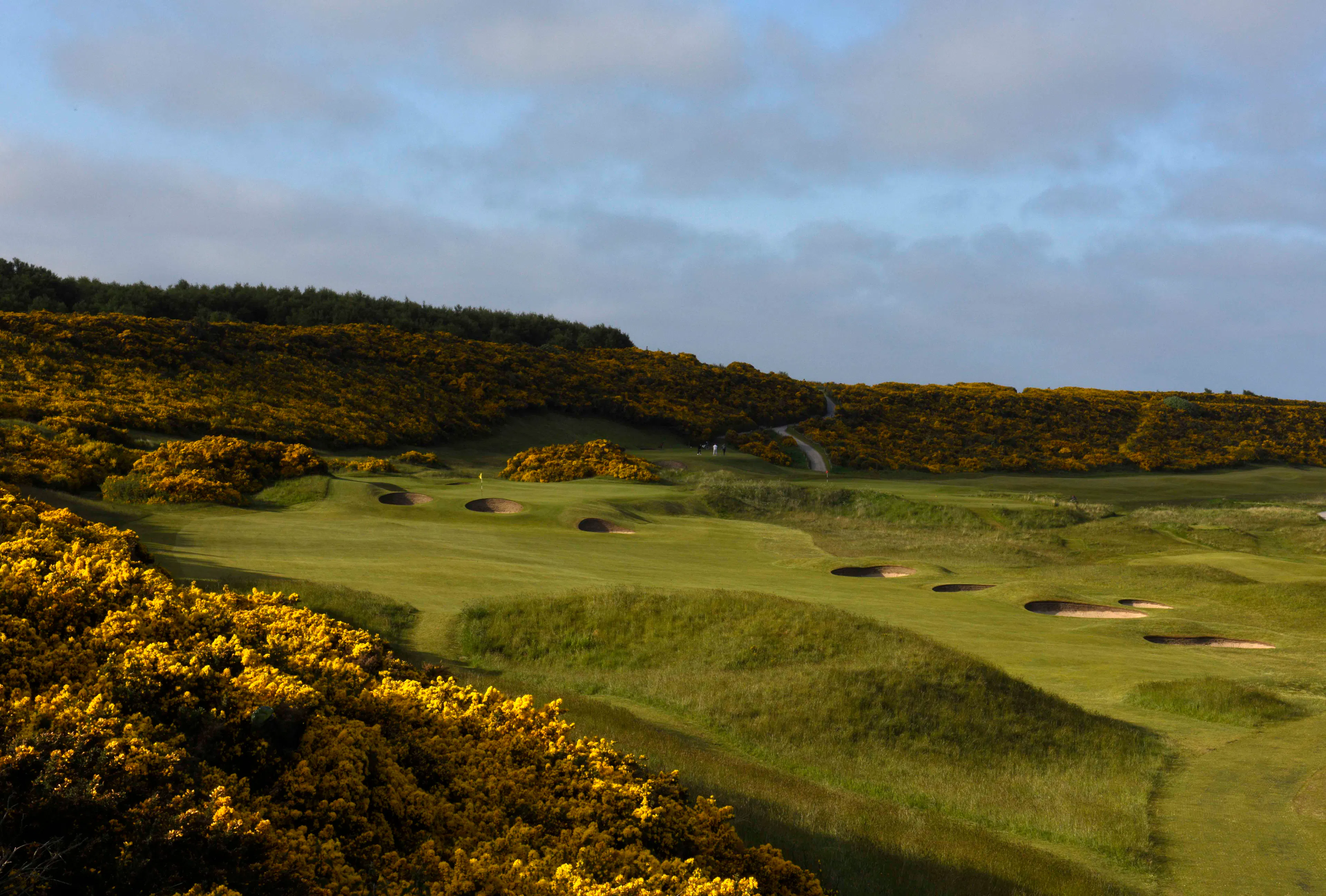View through the valley holes at Royal Dornoch's Championship CourseLinks golf in de Highlands. 