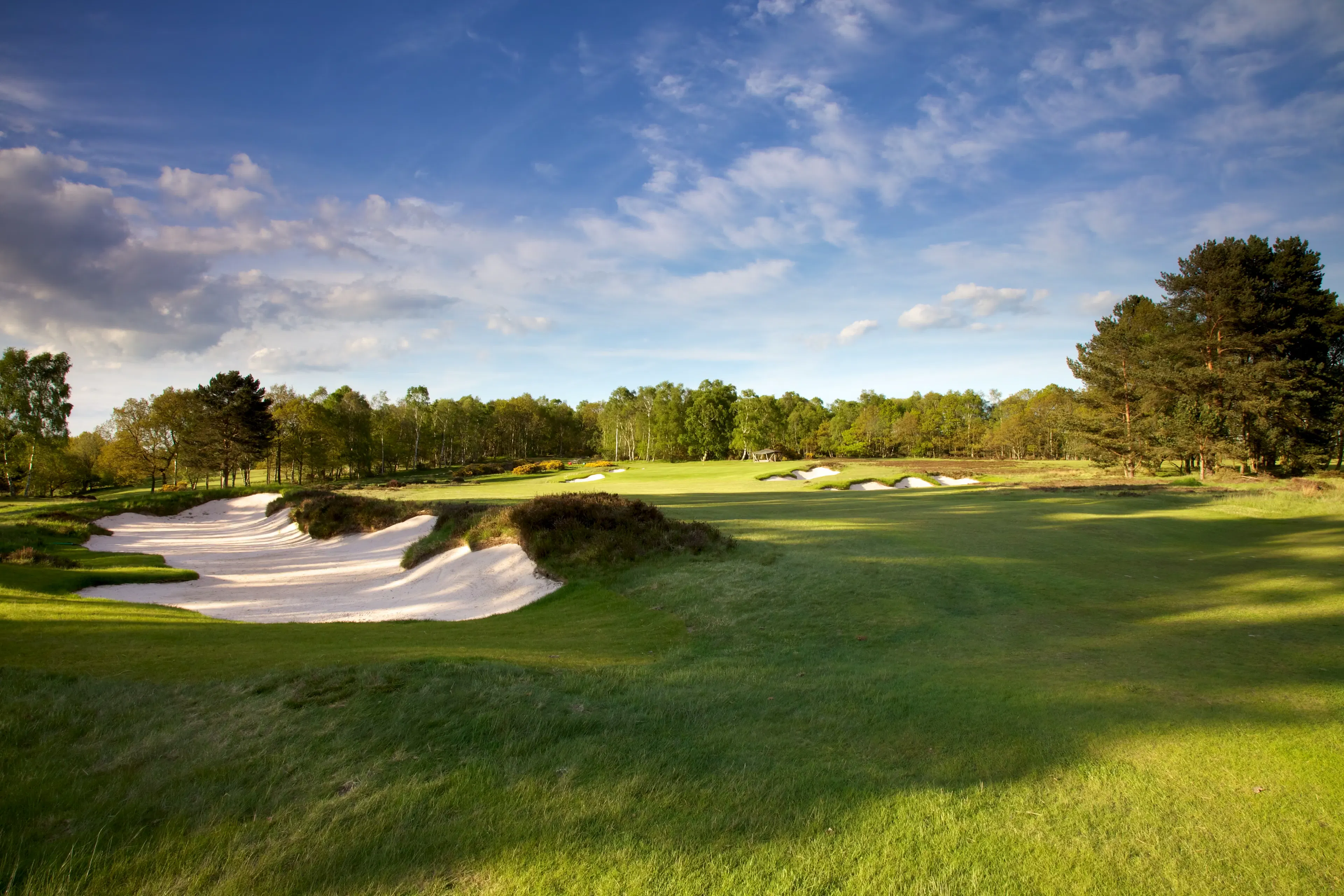 The classic heathland course of Alwoodley designed by the legendary Alister Mackenzie.  
