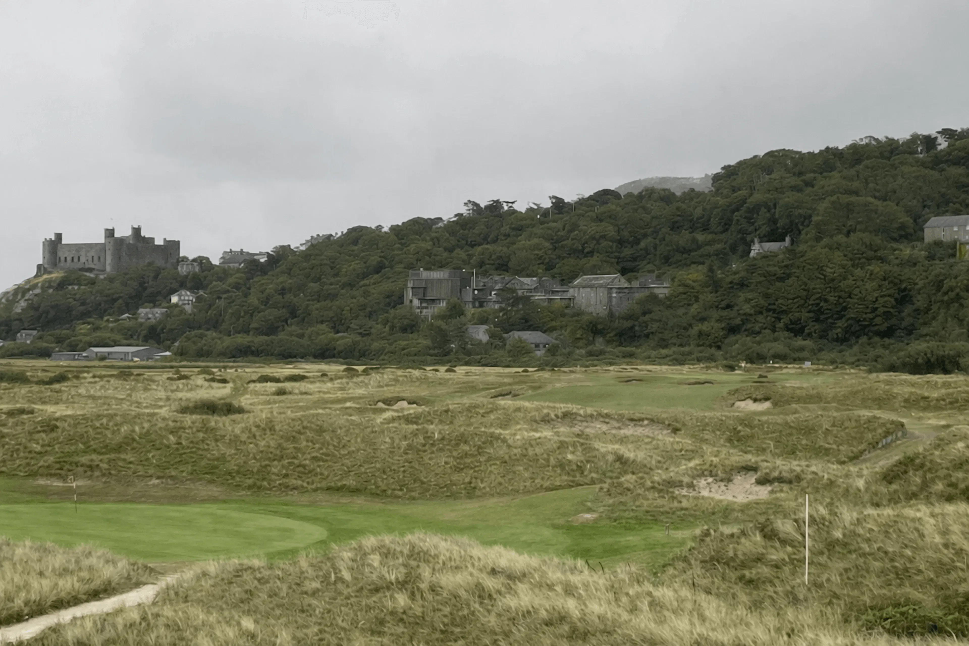 Royal St Davids Golf Club