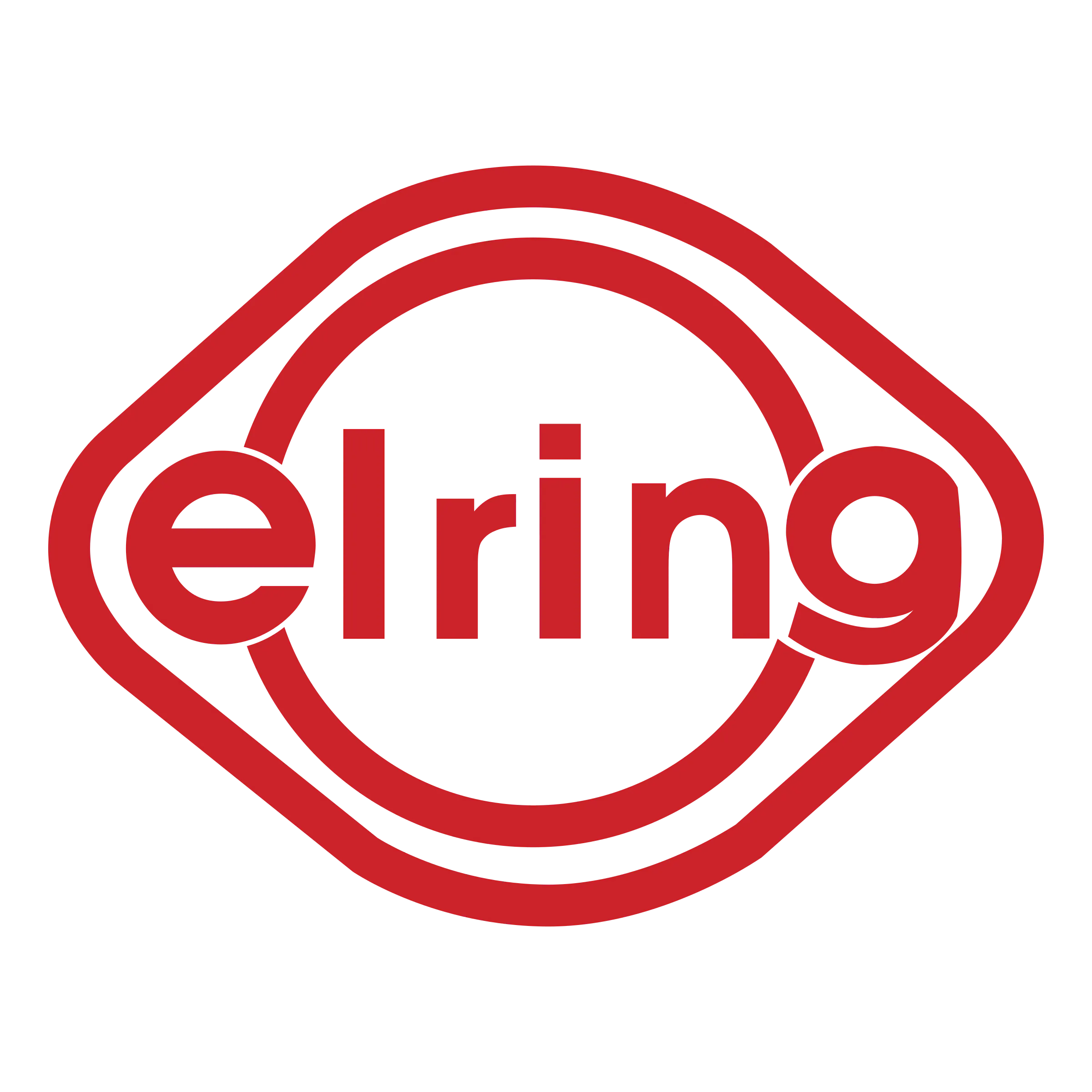 elring