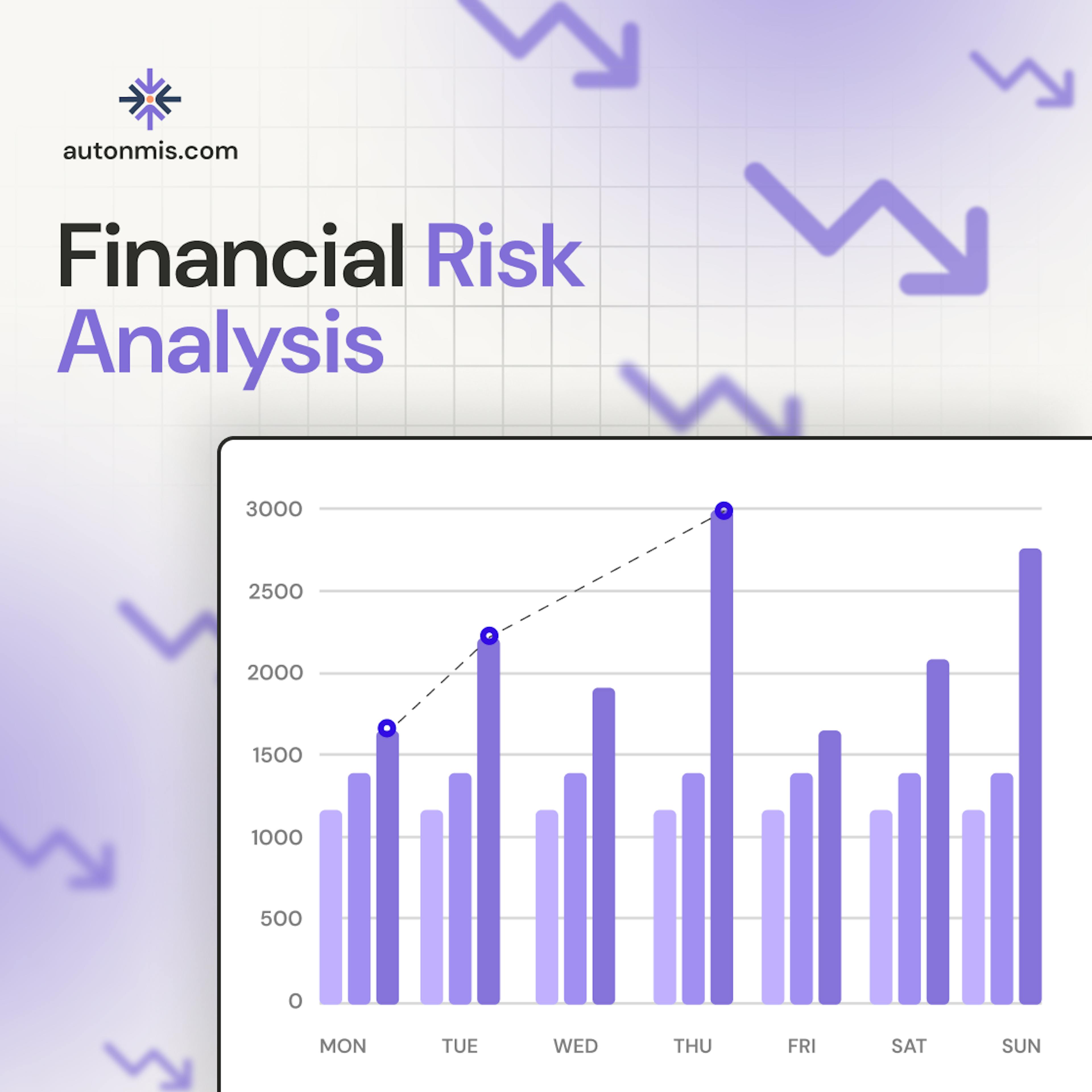 Financial Risk Analysis