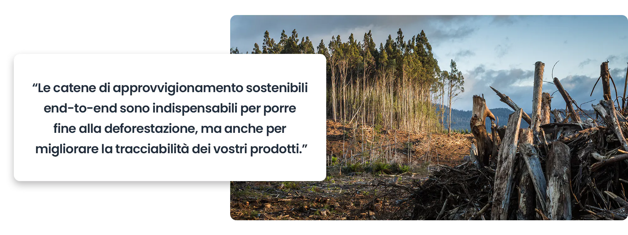 Le catene di approvvigionamento sostenibili end-to-end sono indispensabili per porre fine alla deforestazione, ma anche per migliorare la tracciabilità dei vostri prodotti.