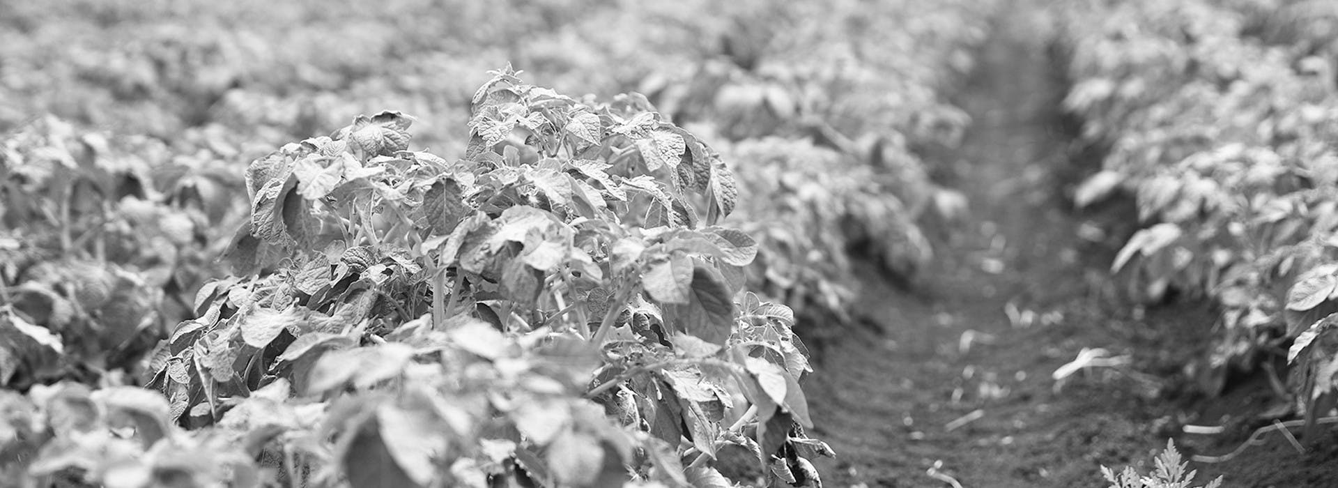 Chapter The need for ERP