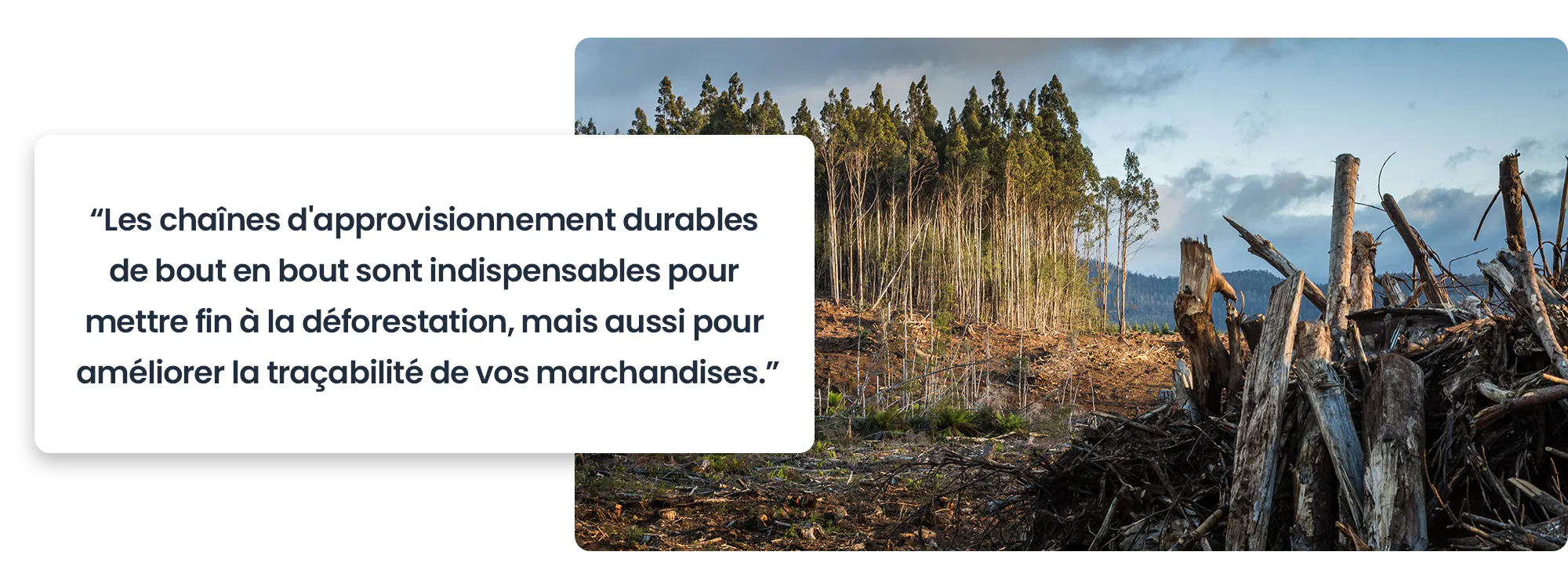 Les chaînes d'approvisionnement durables de bout en bout sont indispensables pour mettre fin à la déforestation, mais aussi pour améliorer la traçabilité de vos marchandises.