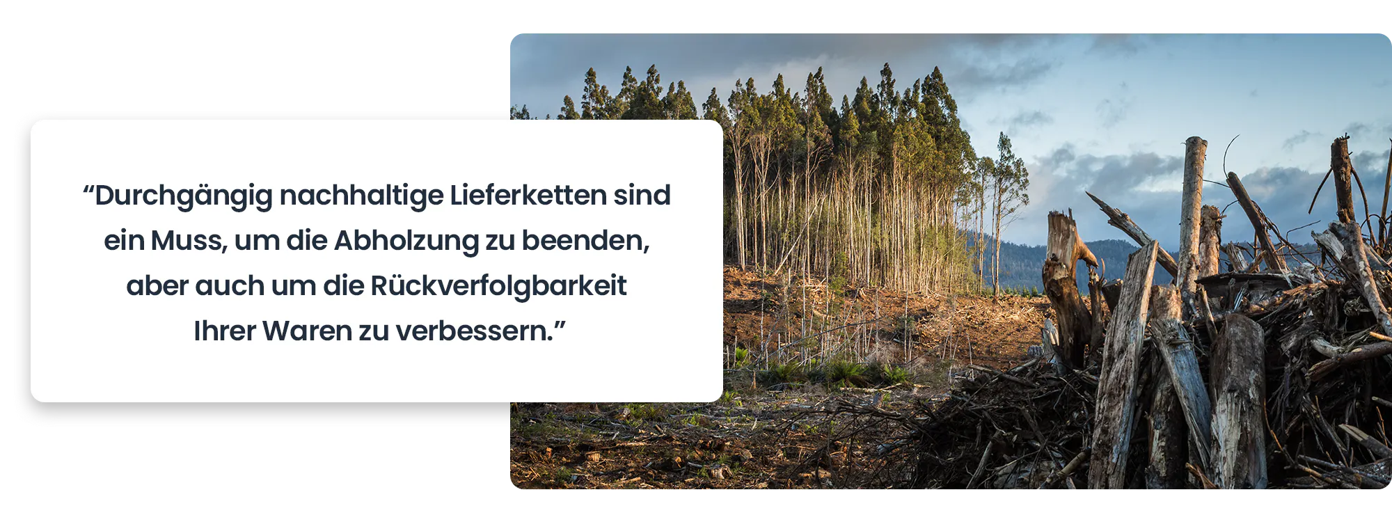 Durchgängig nachhaltige Lieferketten sind ein Muss, um die Abholzung zu beenden, aber auch um die Rückverfolgbarkeit Ihrer Waren zu verbessern.