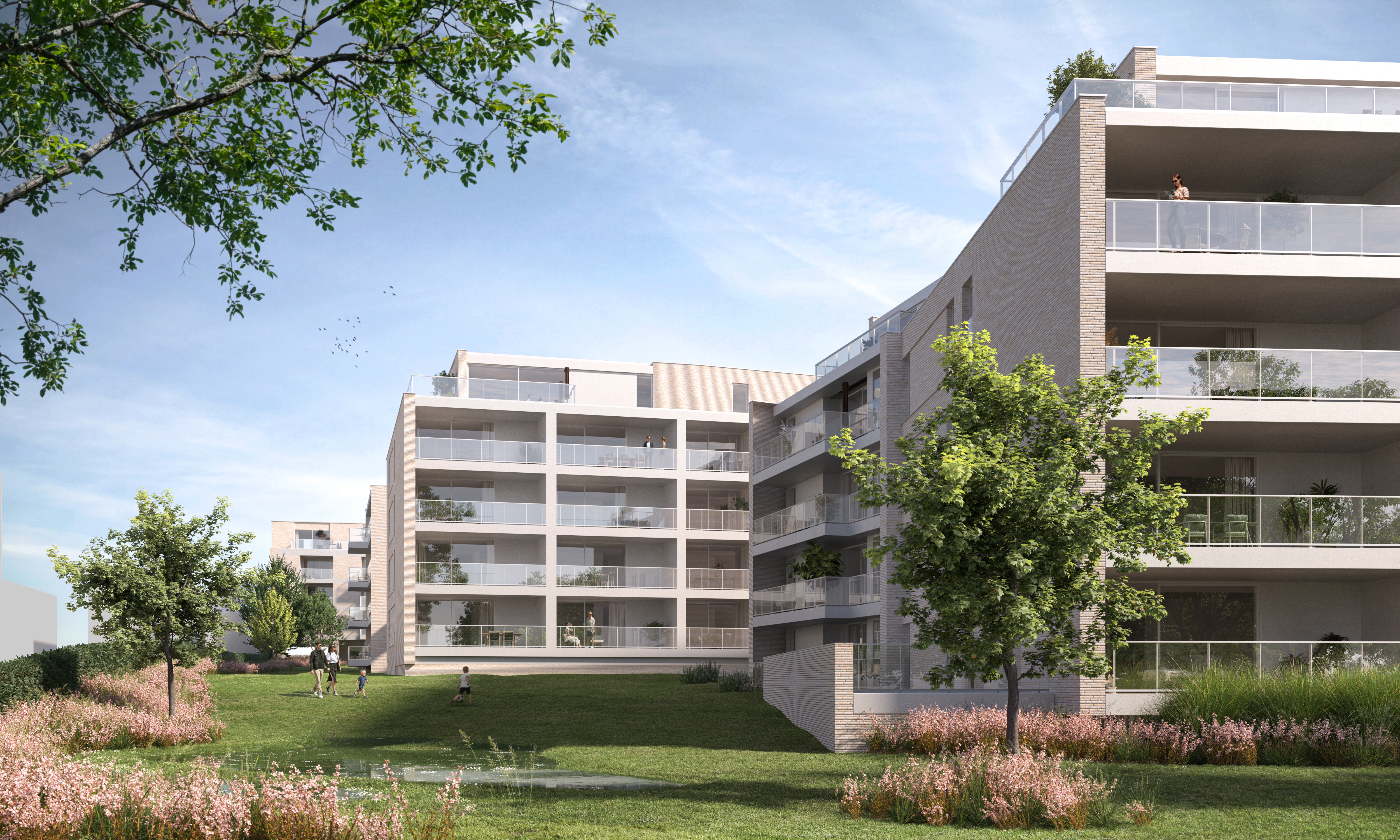 Ley | AV Development