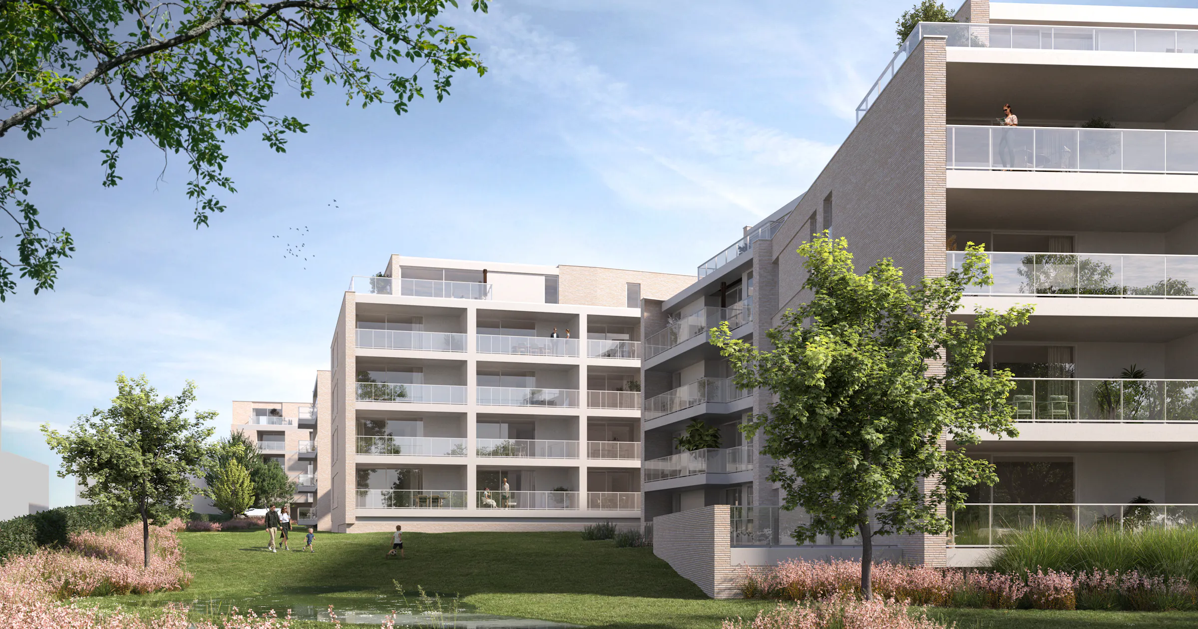 Ley | AV Development
