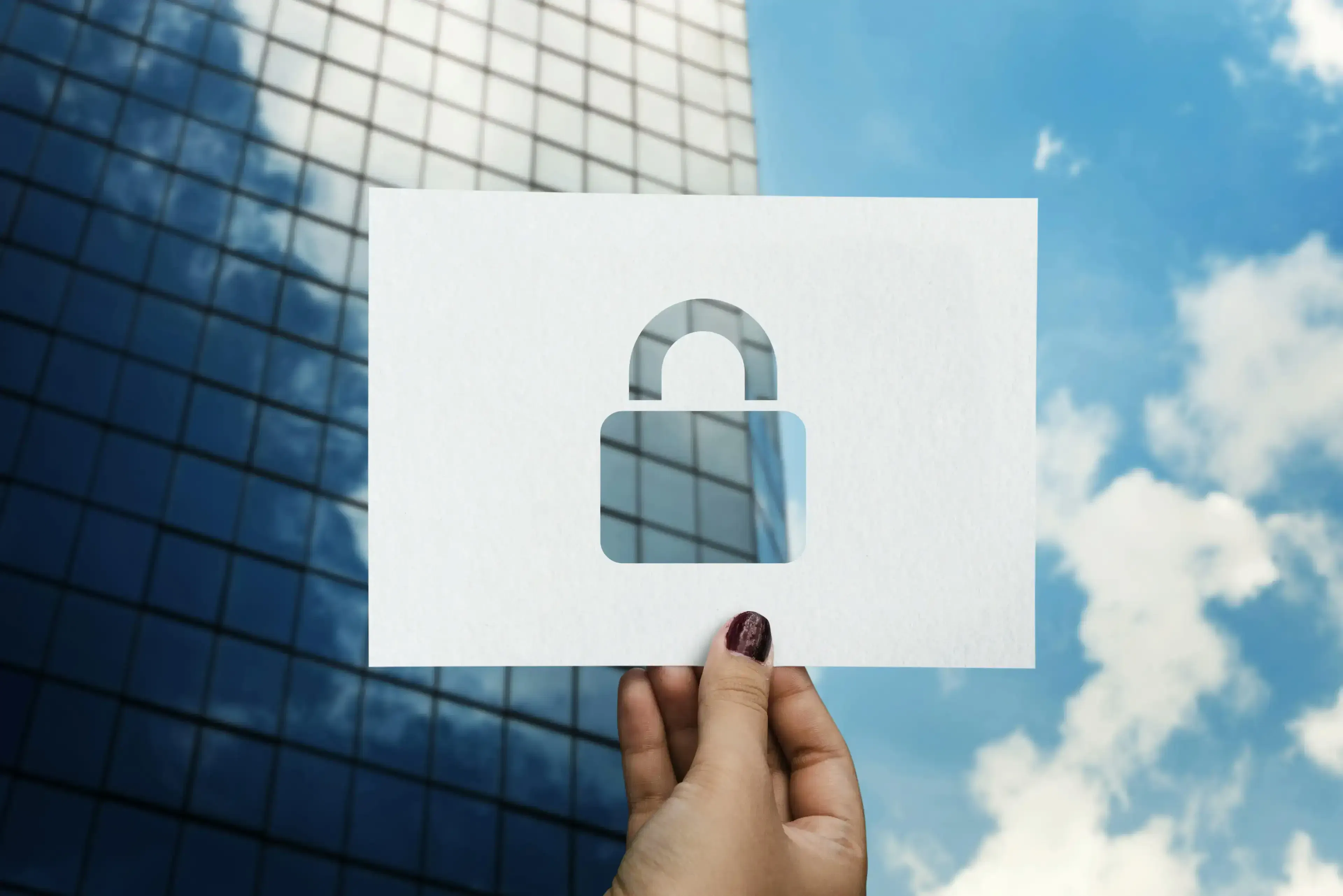 network security system with padlock data protection