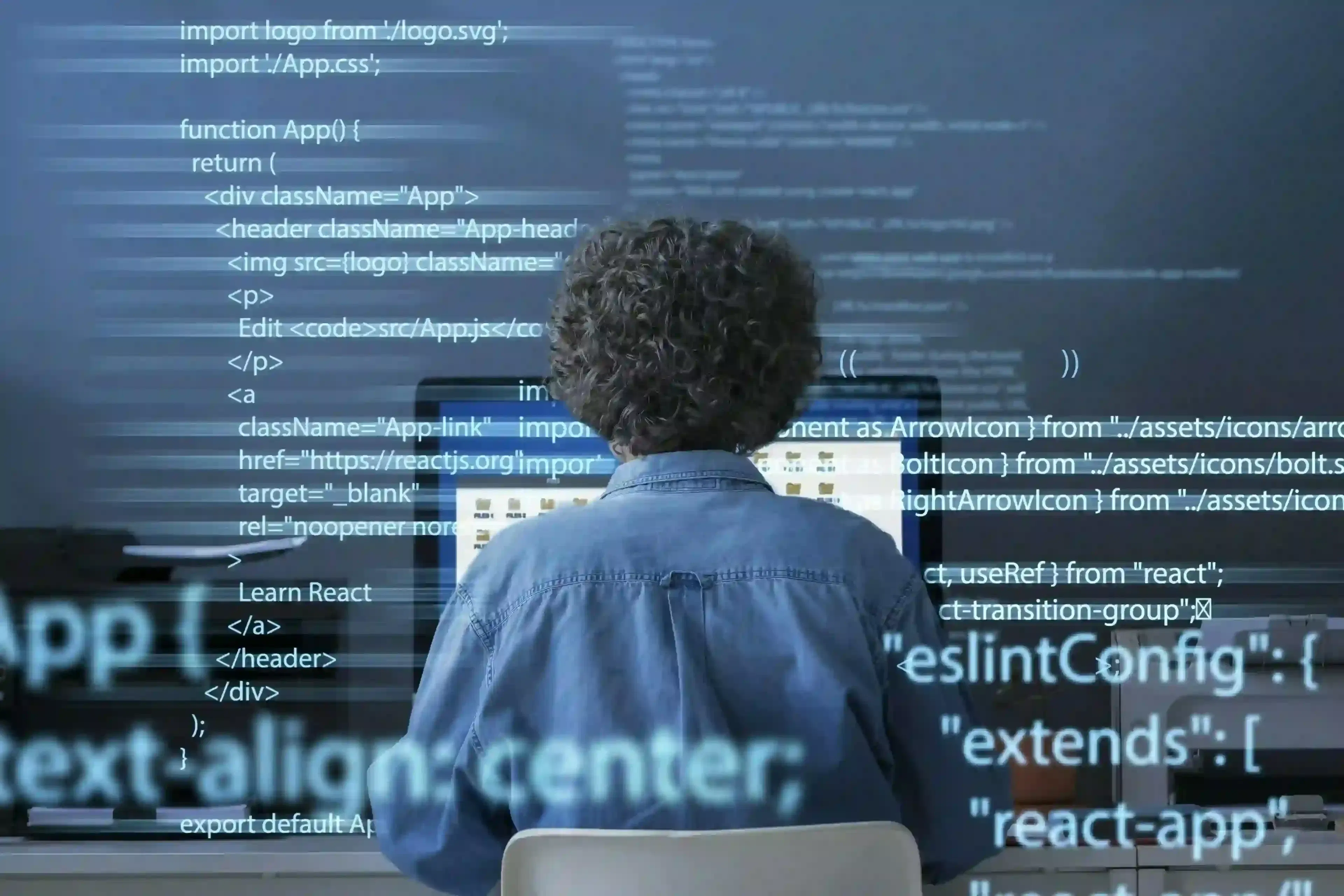 Data Developer