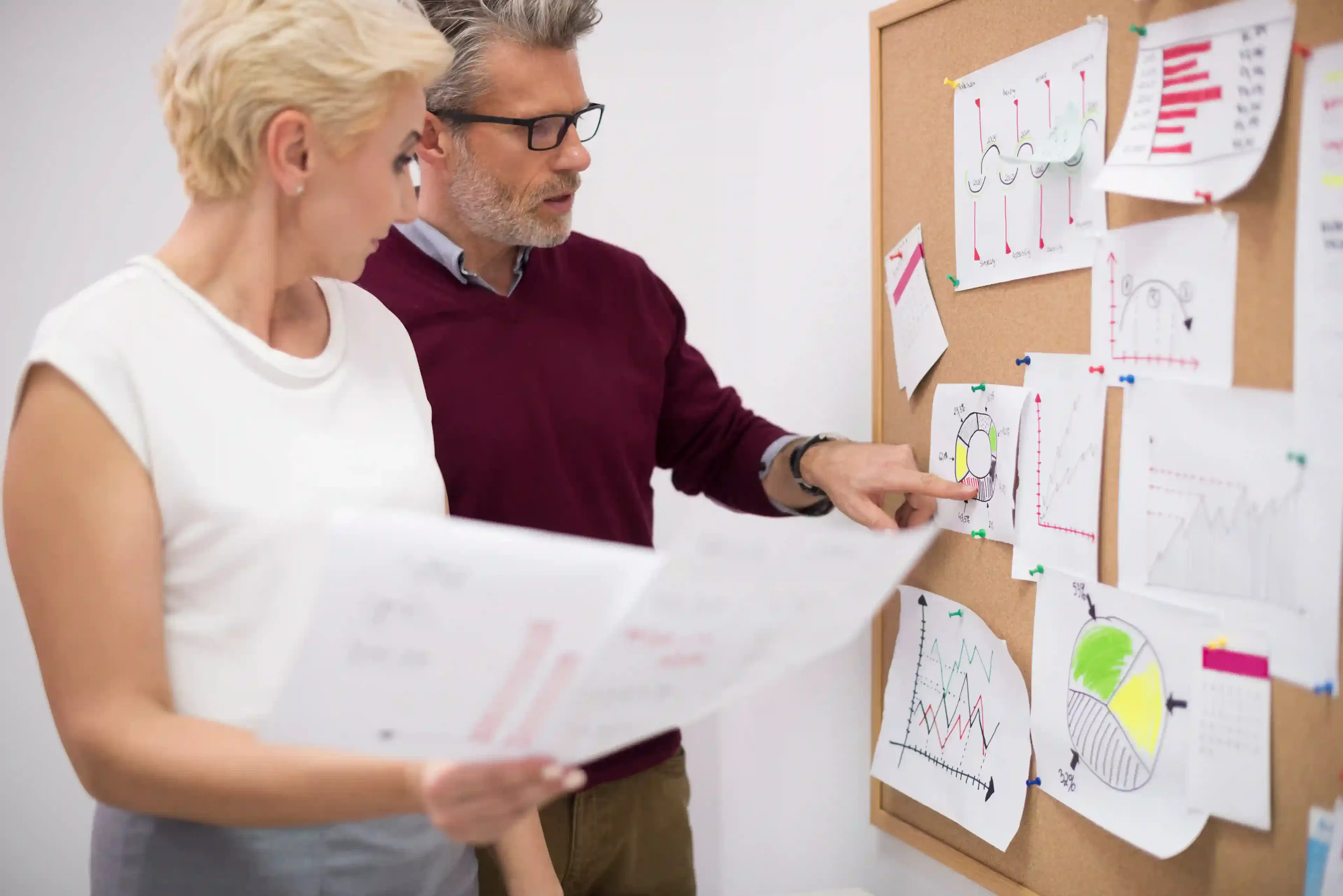 Software Development