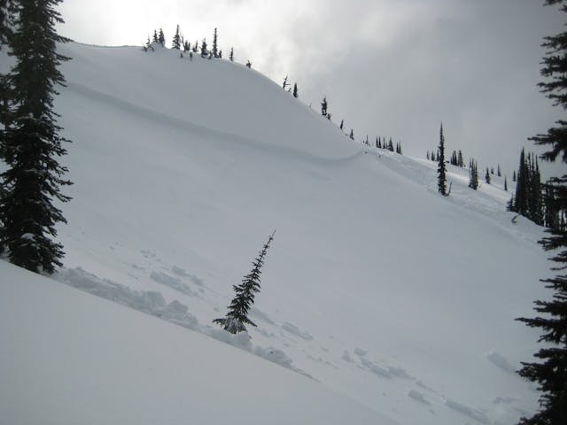Image shows a shallow avalanche crown across an open slope. Sparse trees occupy the area closest to the camera and on the far side of the slope. 