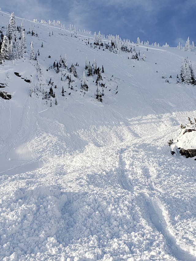 Photo of avalanche debris on a sparsely treed slope.