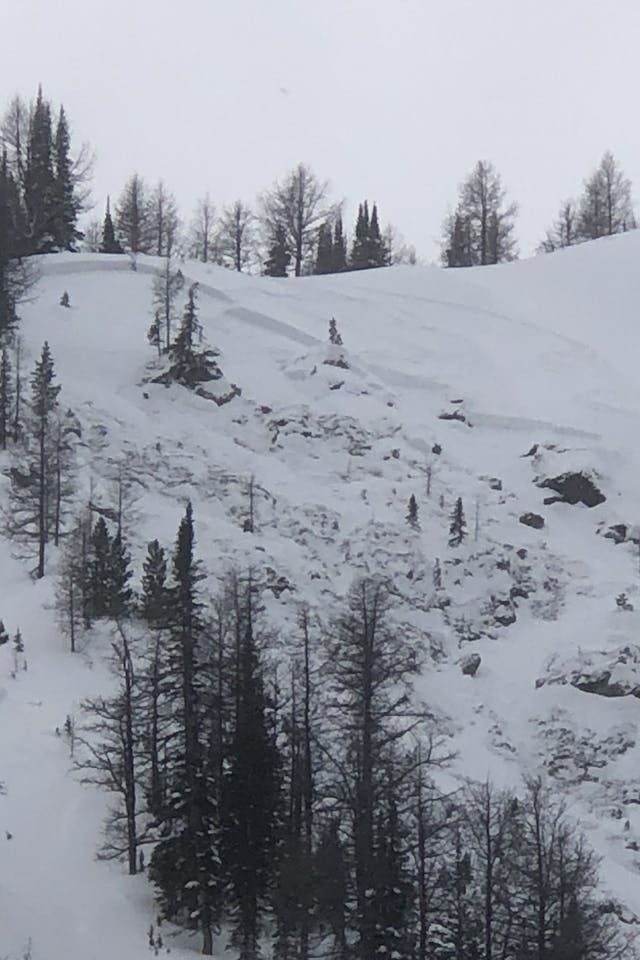 An avalanche crown at the top of a small open slope in a seemingly wooded area. There are trees and rocks visible in the avalanche path as the snowpack moves from thick to thin. 