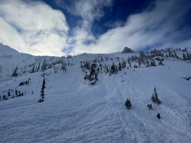 Image shows a wide avalanche crown covering almost the span of the frame. There are small trees in groups on the slope.