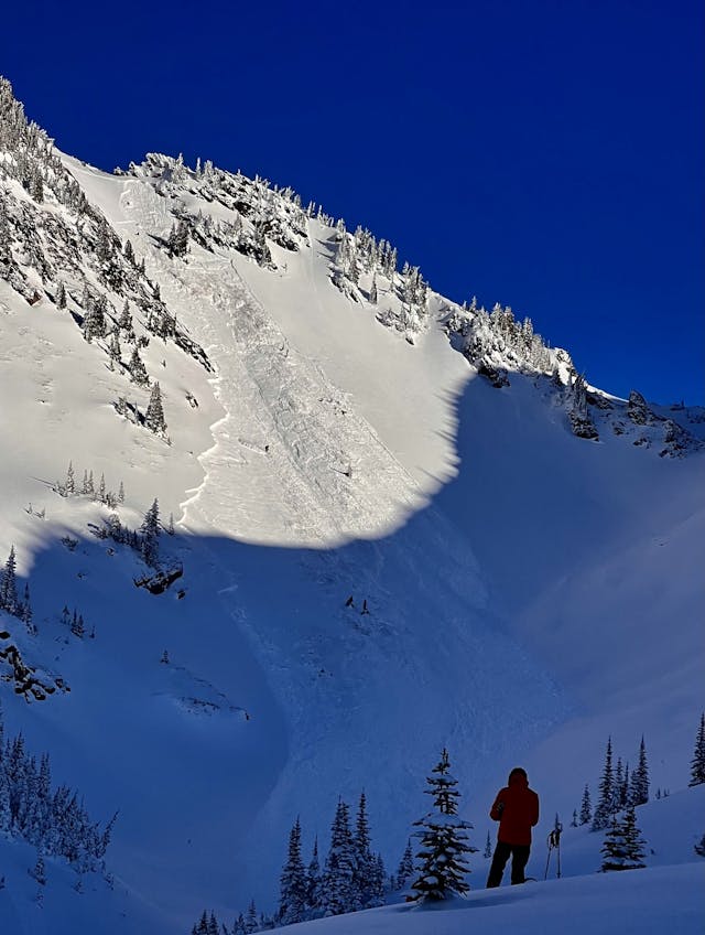 An image of a slope in the sun that has avalanched