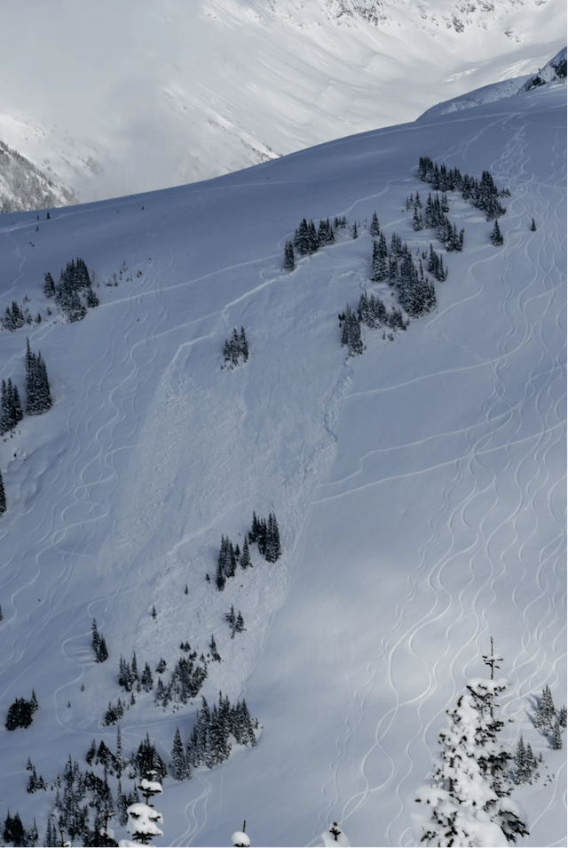 An avalanche on an open slope, seemingly propagating from a small area of trees. 