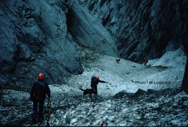 People and dogs search avalanche debris.