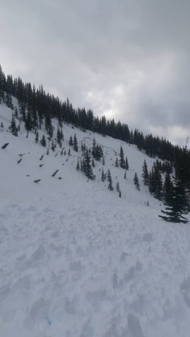 Image showing a size 2 avalanche
