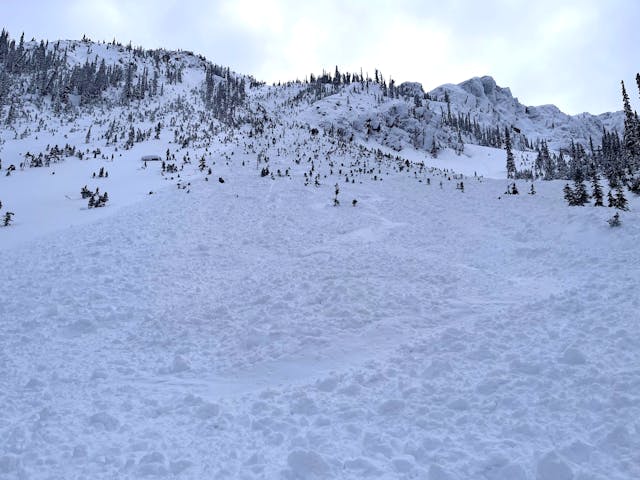 Image is taken looking over avalanche debris and up a slope to a rocky start zone with scattered small trees.