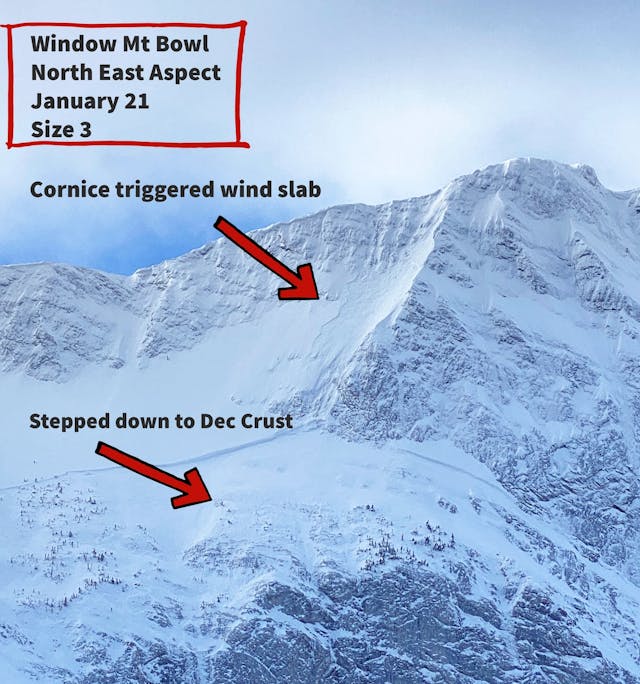 Window Mountain Bowl, NE aspect, Jan 21. Size 3 avalanche. Arrows point out a cornice triggered wind slab and the point where it stepped down to the December crust