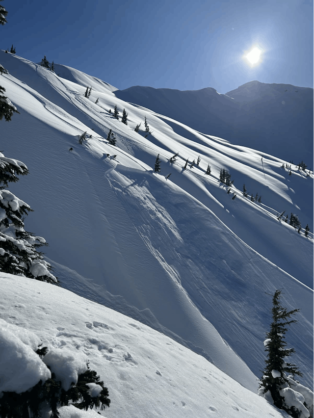 An avalanche crown at a change in steepness on a slope
