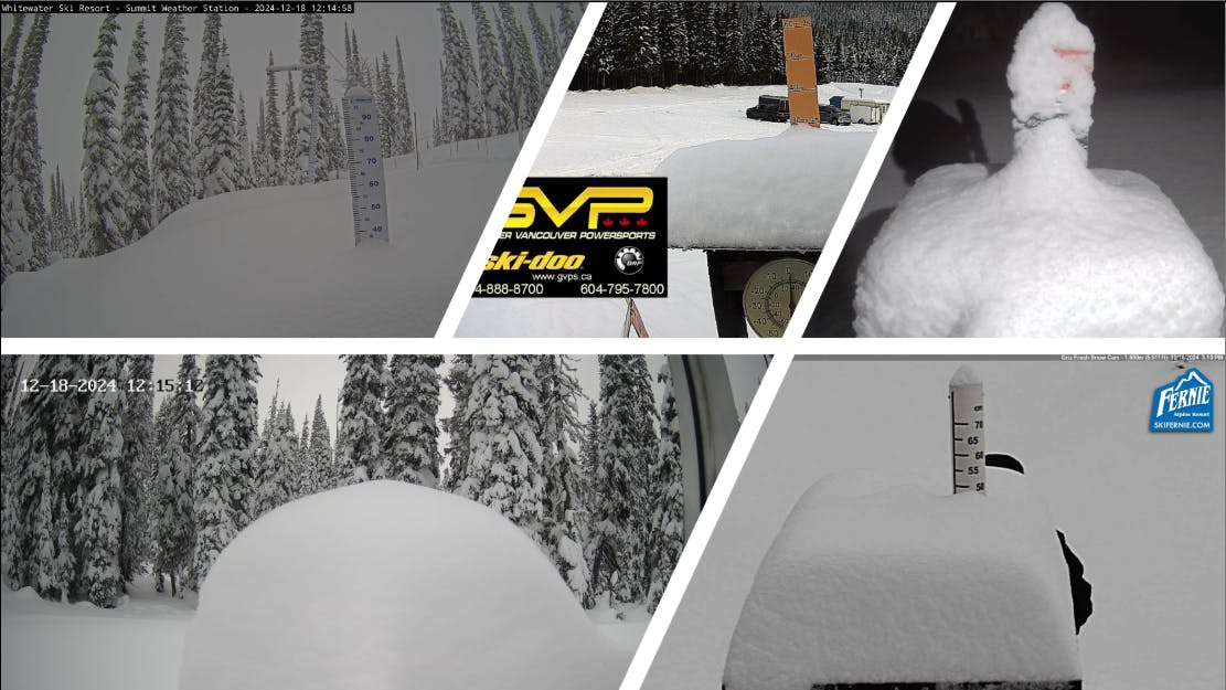 collage of webcam images with snow stakes buried in deep snow