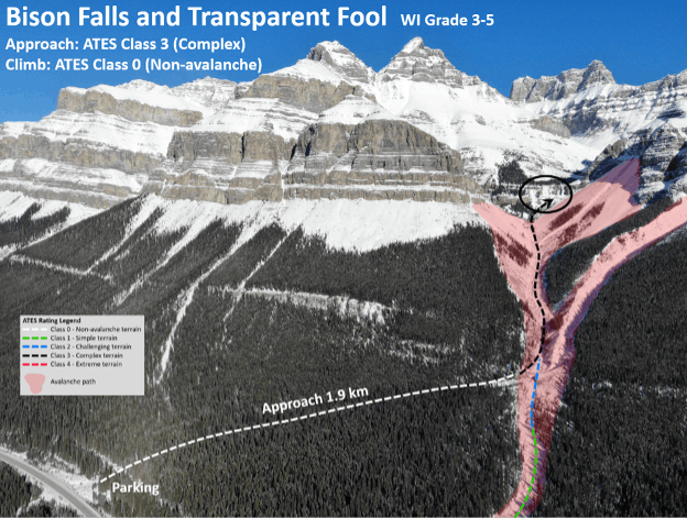 A steep, heavily treed approach trail under serious avalanche terrain