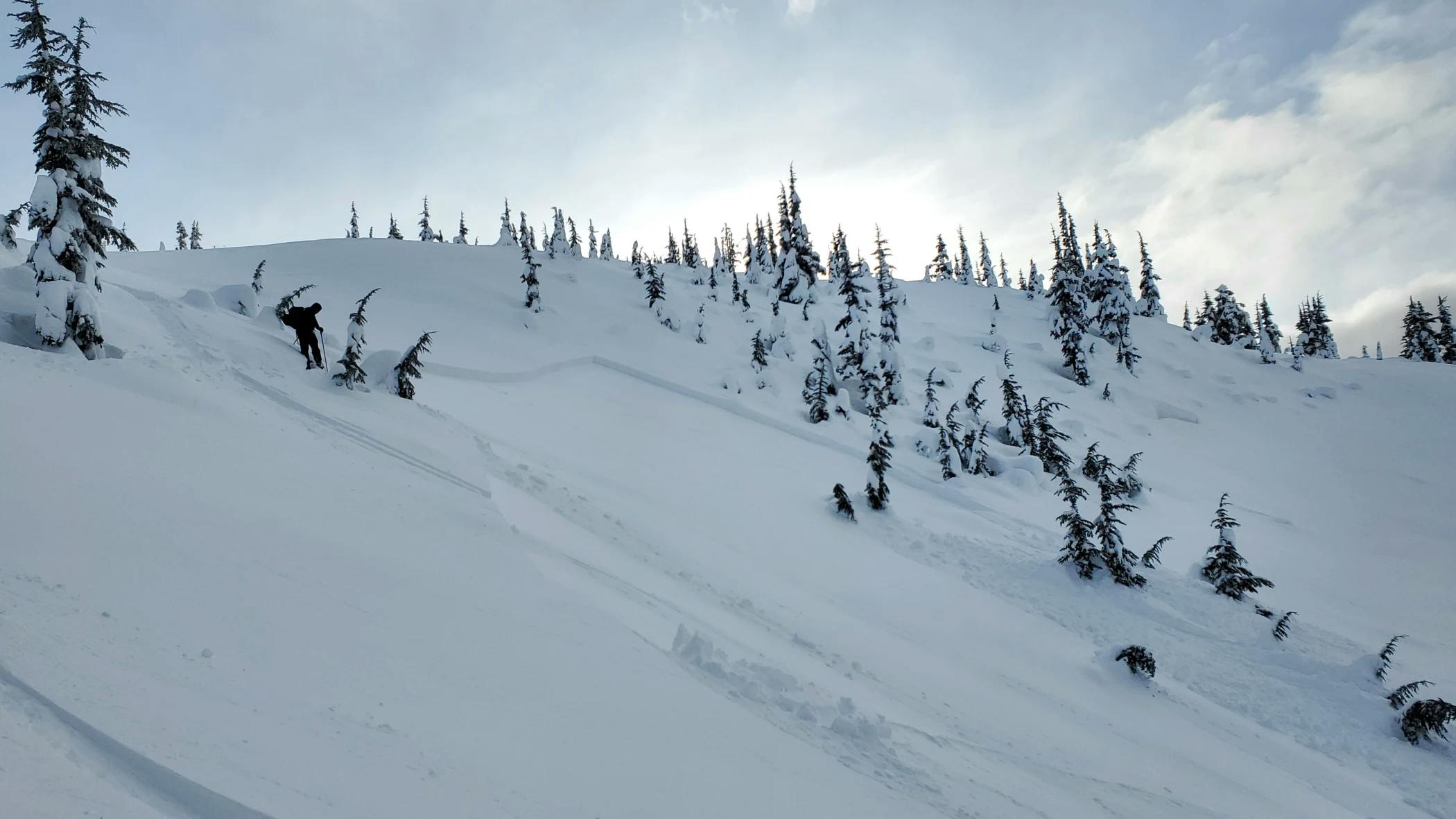 an avalanche on a sparsely-treed 26 degree slope