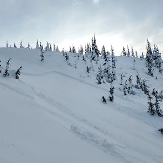 an avalanche on a sparsely-treed 26 degree slope