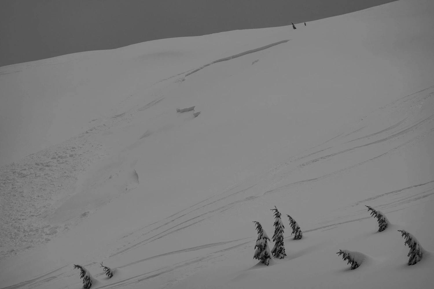 an avalanche on a smooth slope just at treeline. Ski tracks are visible beside the avalanche.