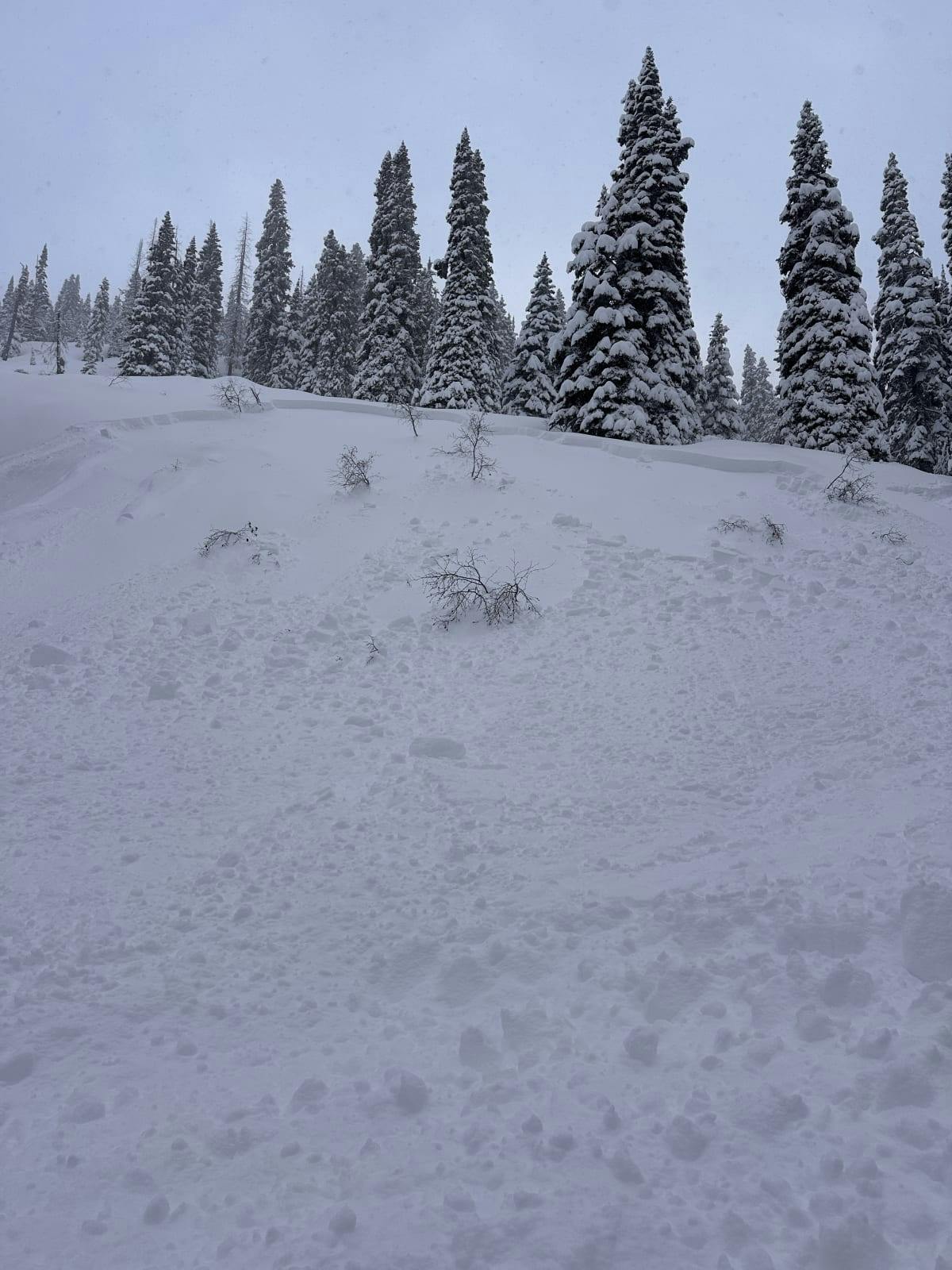 a  skier remote avalanche in an open area 