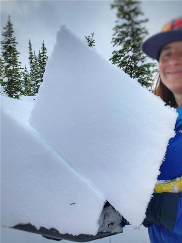 A field team member holds two blocks of snow on a shovel, one has slid down the surface of the other on a weak layer. 