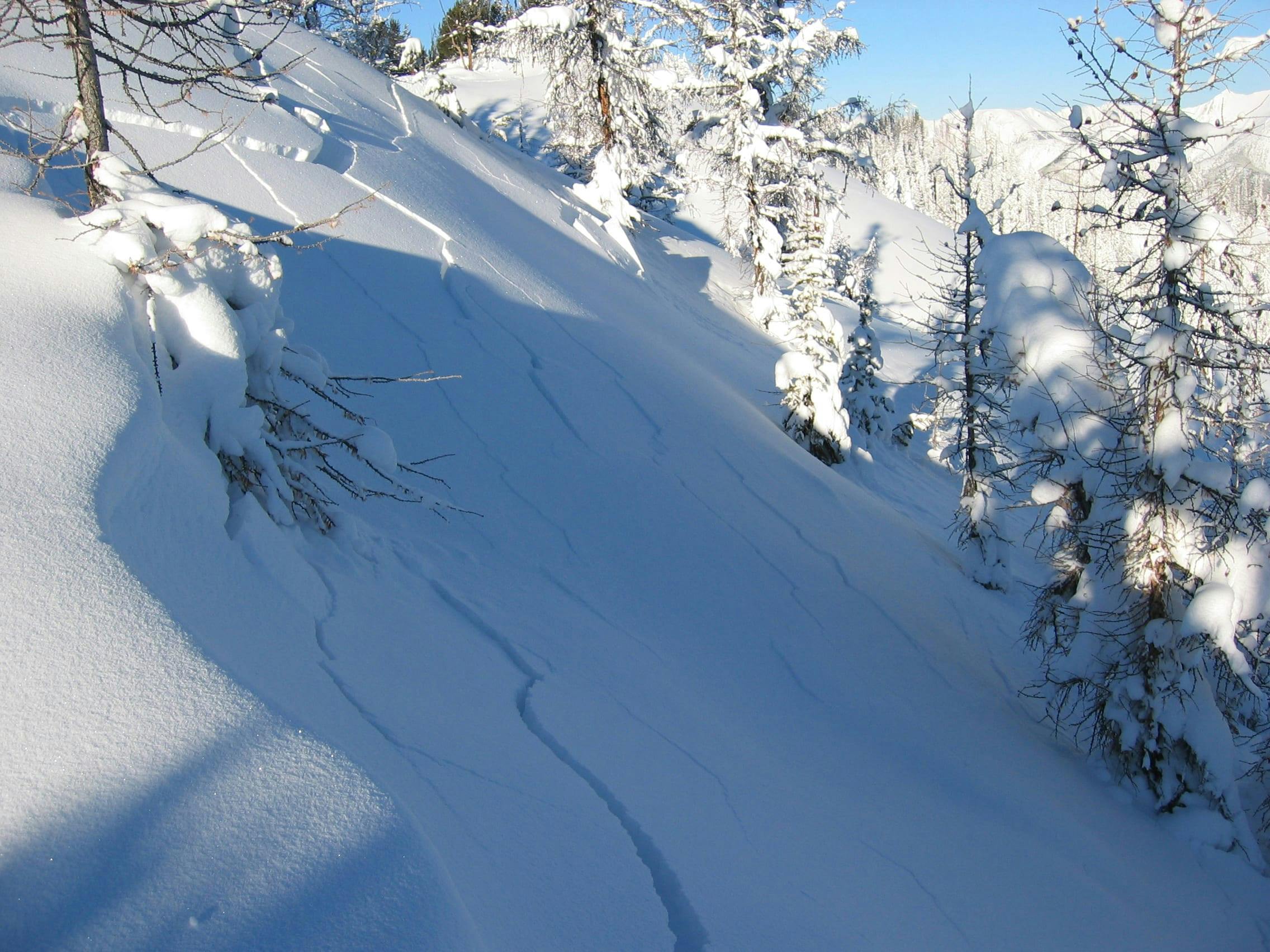 Cracks in a slab over a treed slope