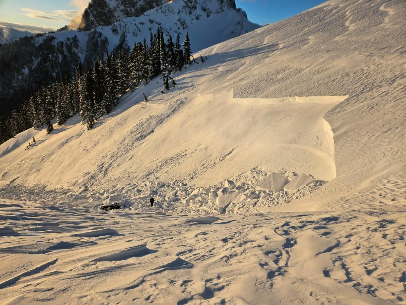 A windslab avalanche at treeline