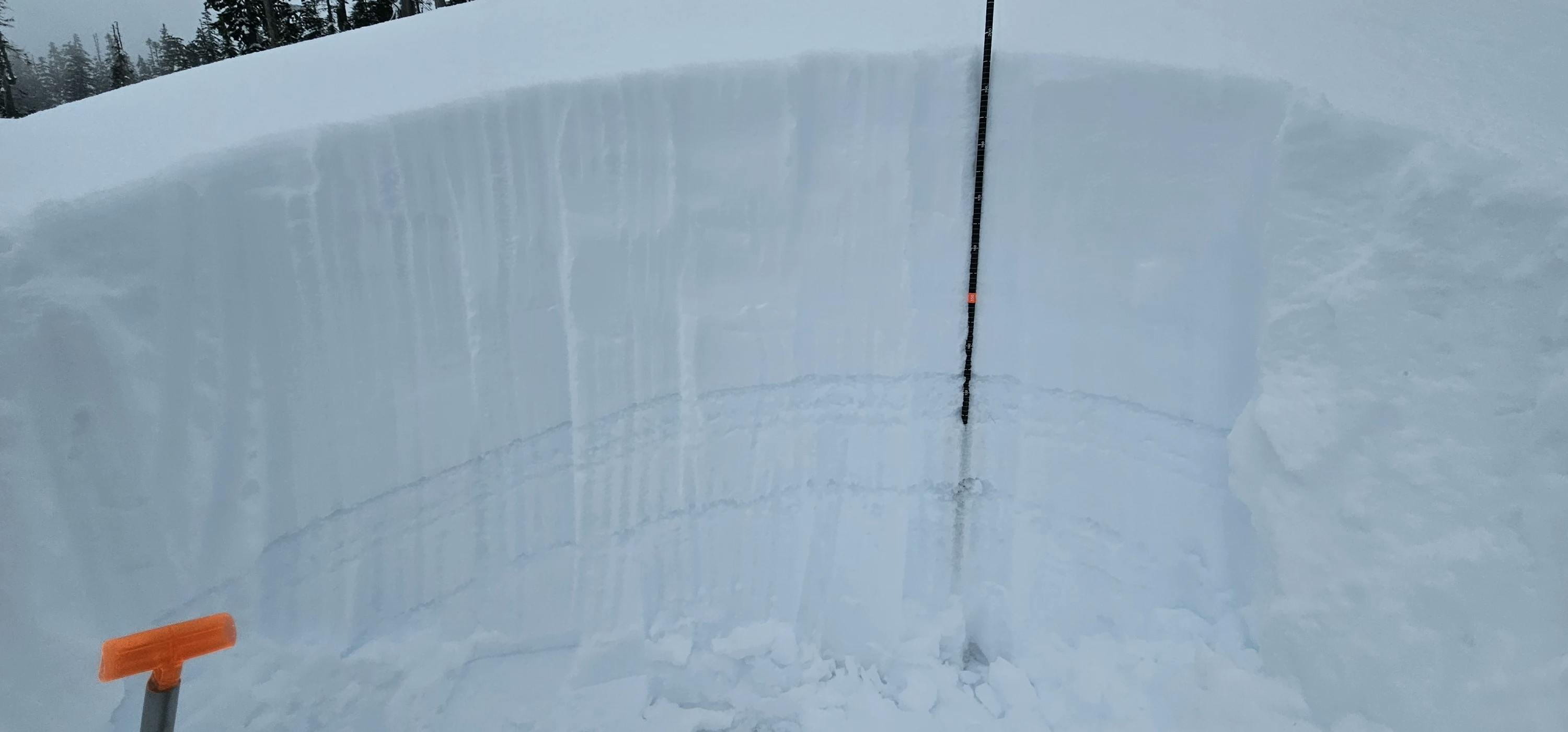 A snowpit showing prominent weak layers