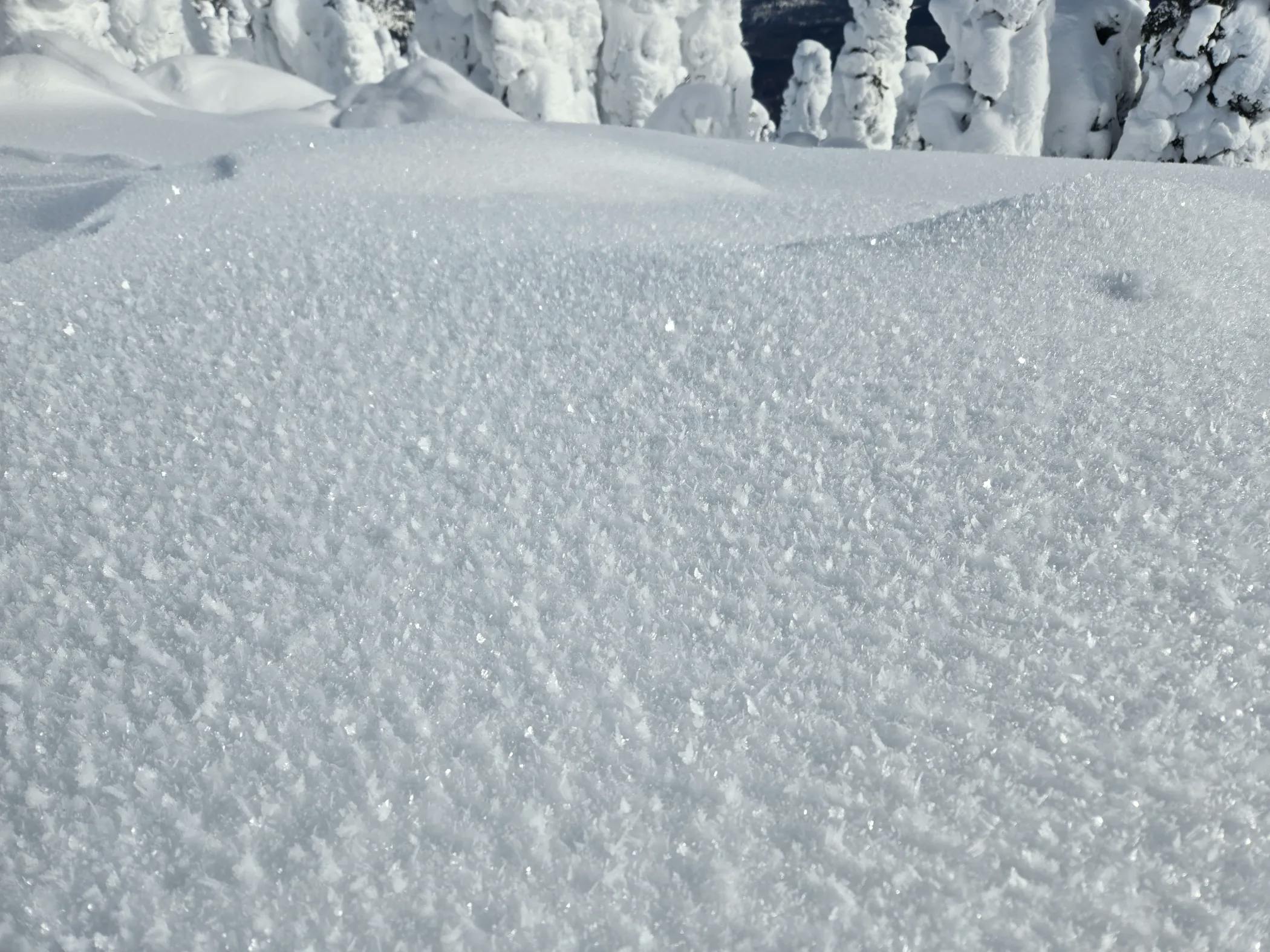 surface hoar on top of the snowpack

