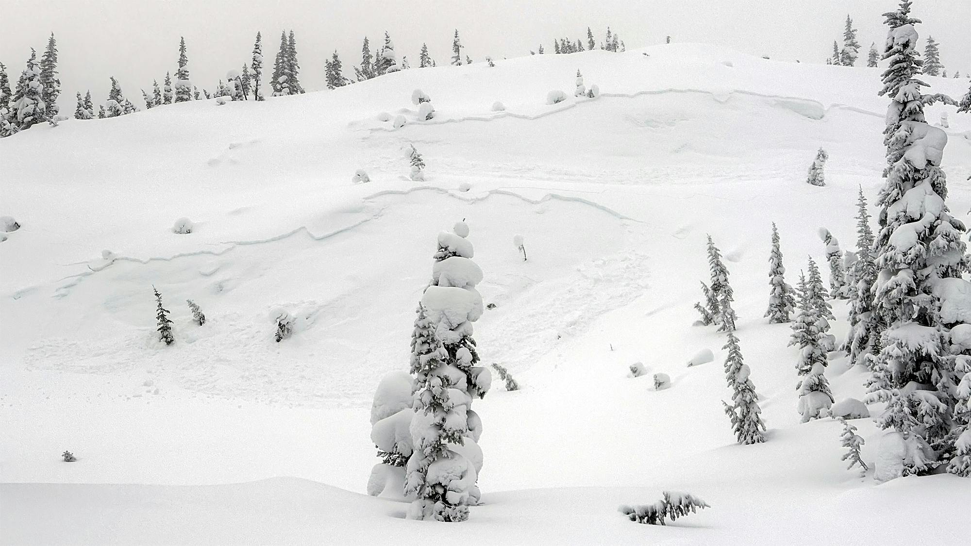 avalanches on treeline slopes