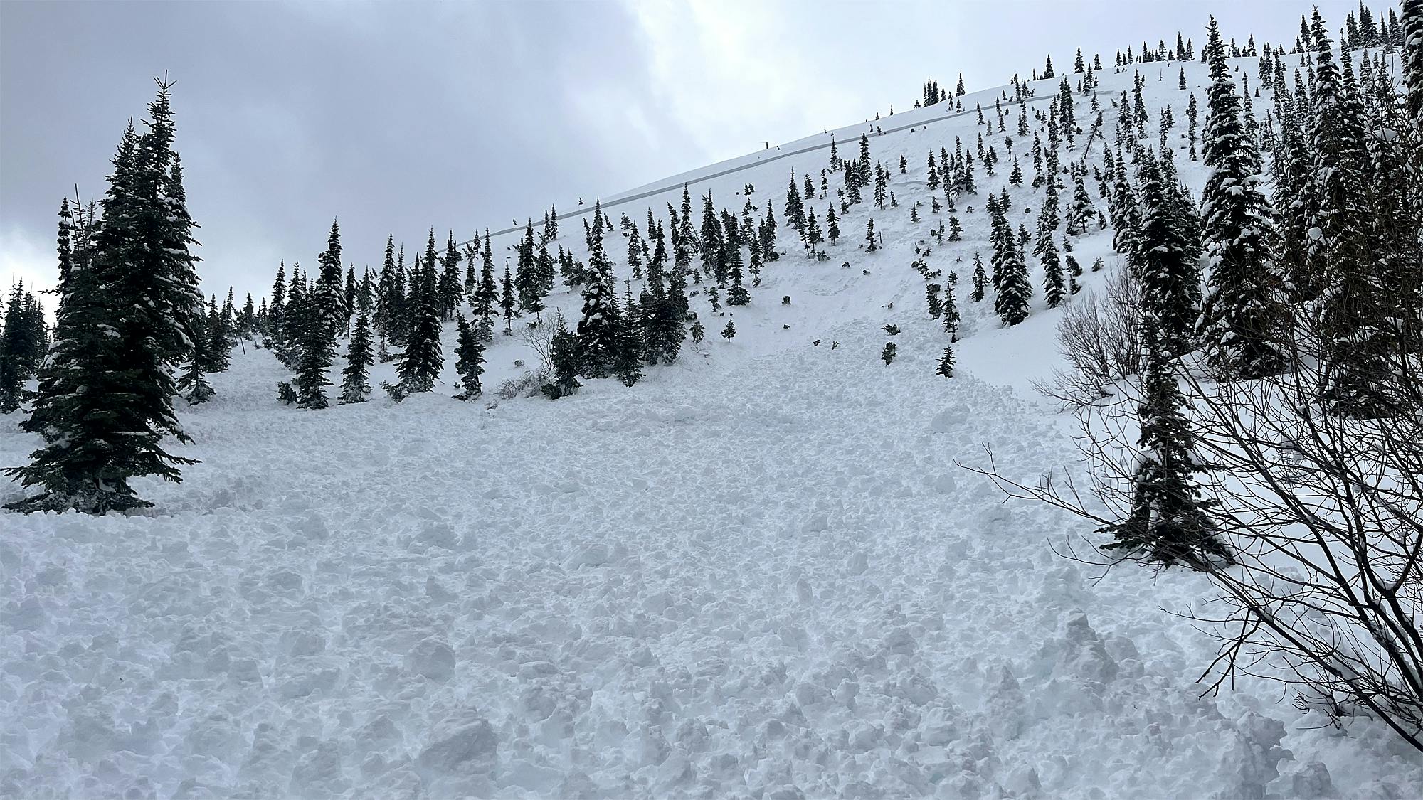 avalanche debris from an overhead slope with open trees