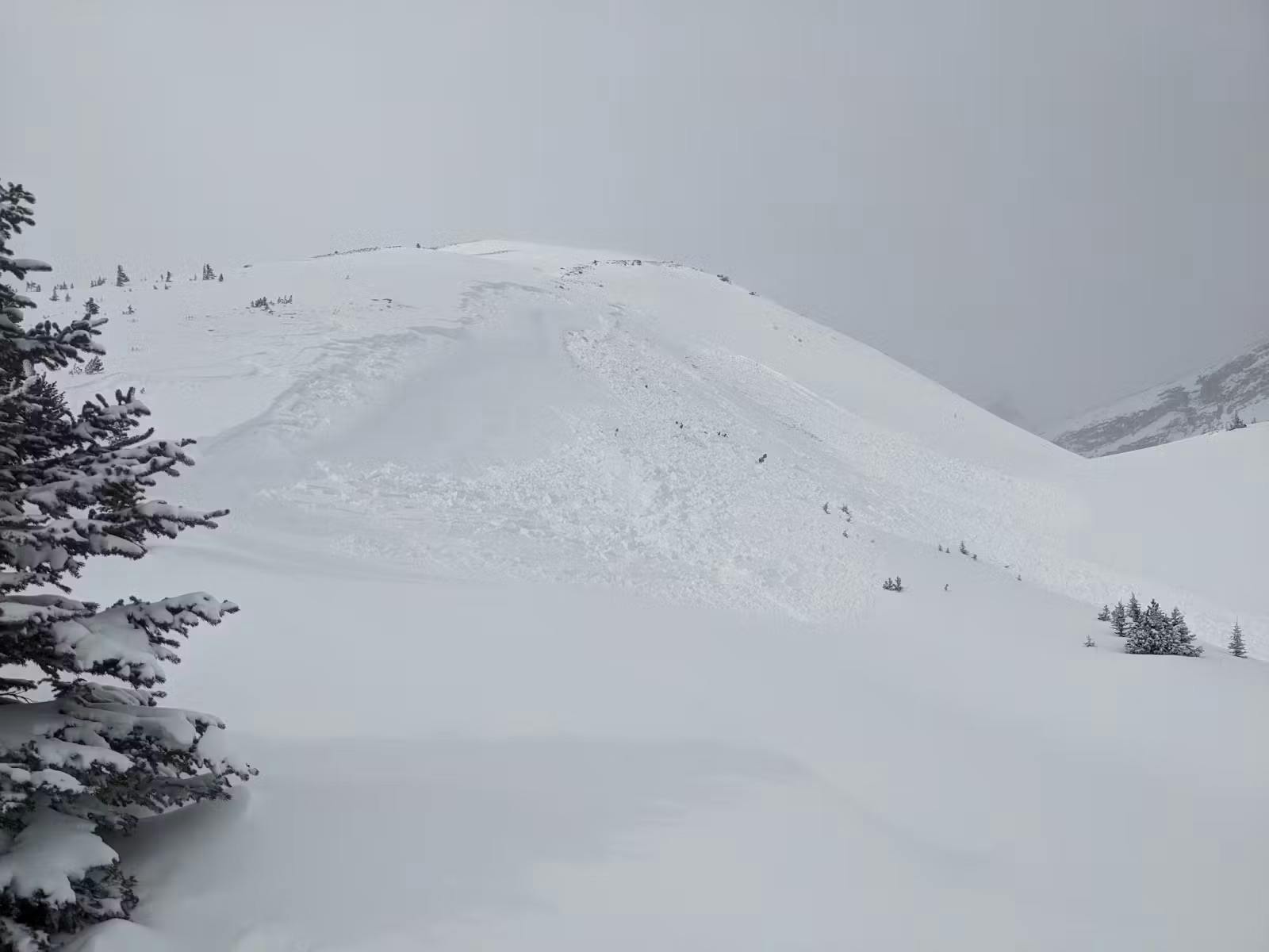 a small terrain feature with an avalanche down it