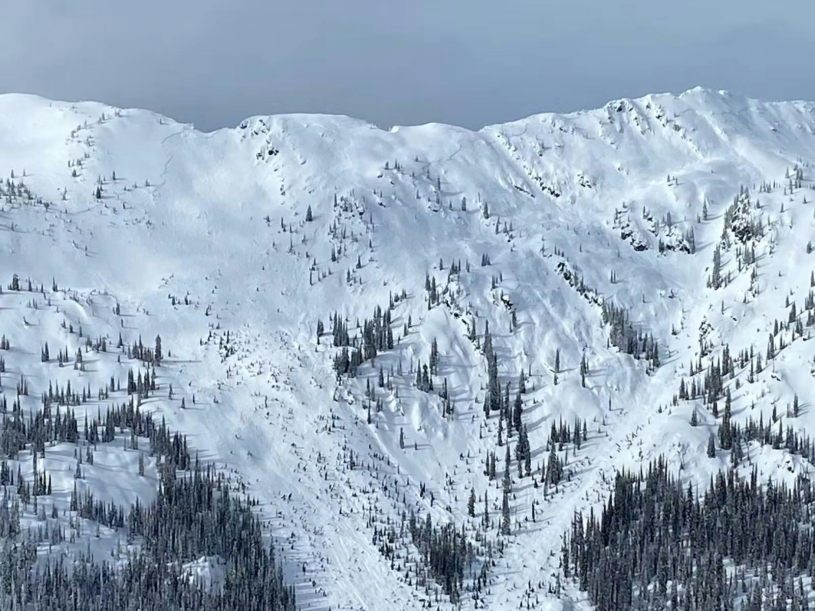 a large avalanche that started in the alpine and ran into treeline