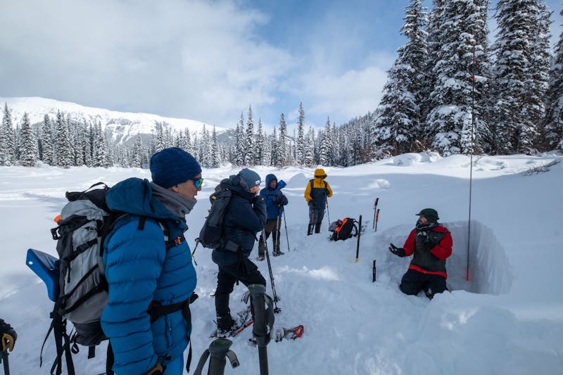 A group of snowshoers looking at someone in a snow pit