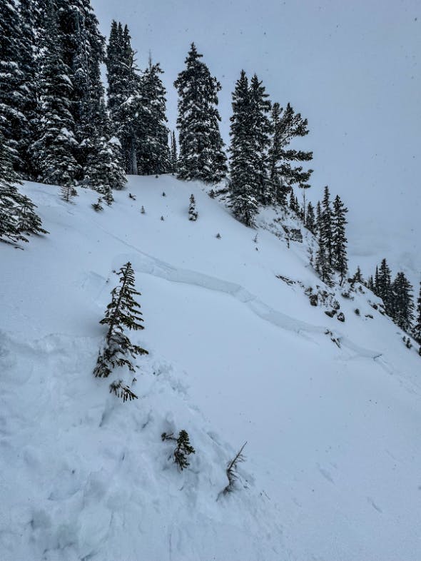 A small avalanche fracture line in steep terrain beneath some trees