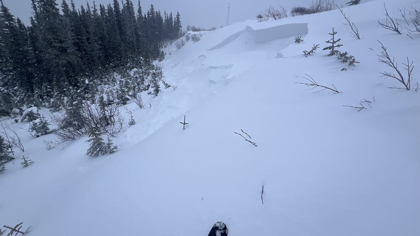 An avalanche crown in a small pocket of wind loaded terrain. 