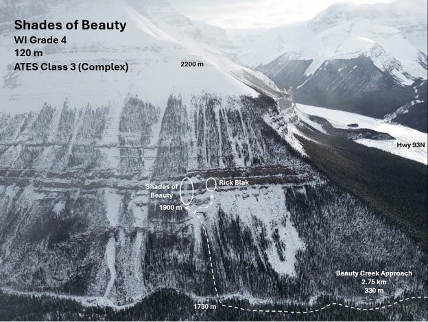 A steep mountain with avalanche paths originating in the alpine