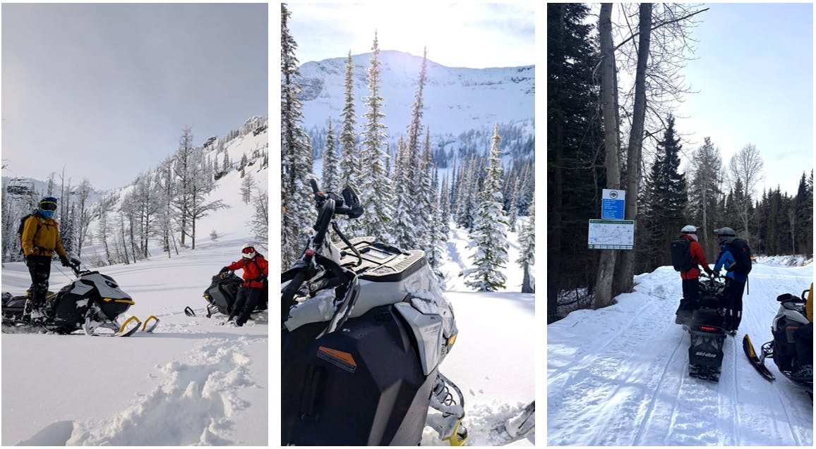 Collage of sledding at treeline and trail signs