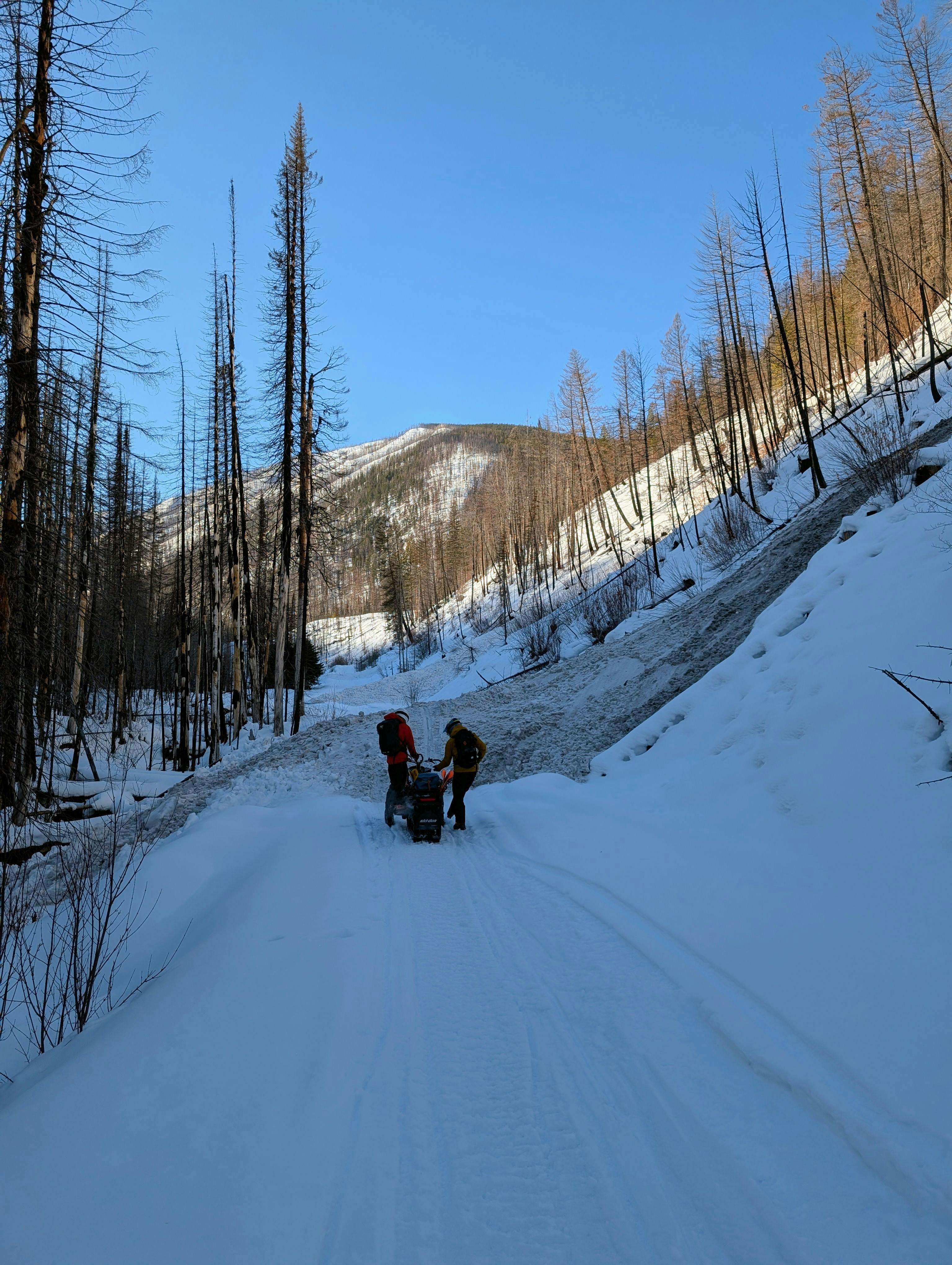 Sledder stopped on road looking ahead at avalanche debris over the road
