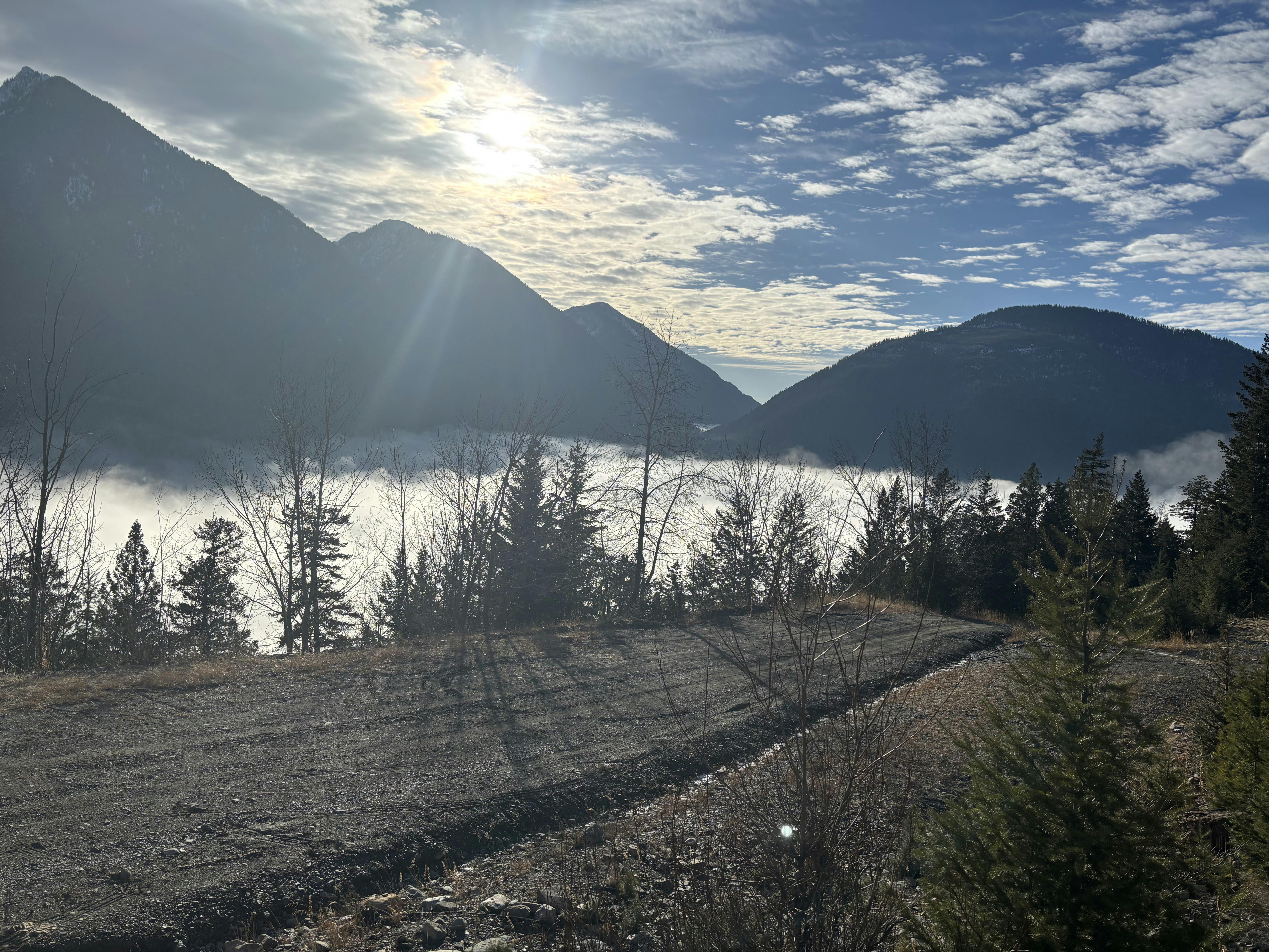 Snow-free logging road