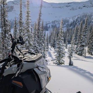 Sled parked in sunny open trees