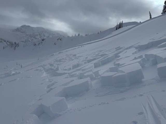 Blocks of avalanche debris have slid on a very mellow slope