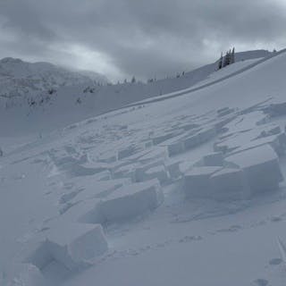 Blocks of avalanche debris have slid on a very mellow slope